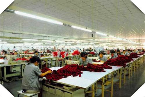 4個(gè)適合創(chuàng)業(yè)的小型加工廠項(xiàng)目推薦，干好一個(gè)年收入高達(dá)100萬，覆蓋食品代理和銷售