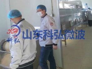 微波食品殺菌機(jī)工廠直銷價(jià)格與供應(yīng)信息解析