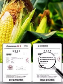 粗糧飲料市場黑馬突圍，熱銷商超與餐飲渠道，經(jīng)銷商利差可期