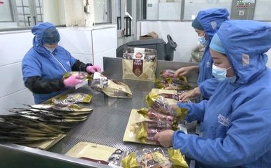 人勤春早爭朝夕 拼搏趕超'開門紅'——食品代理與銷售的機遇與策略