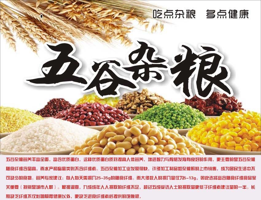 黑龍江灰扁豆 東北特產，天然鳥食與優質食品代理之選